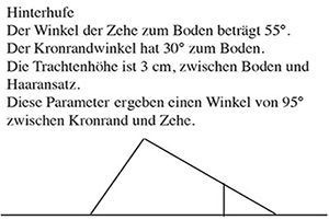 Hufschema hinten