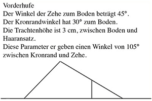 Hufschema vorn